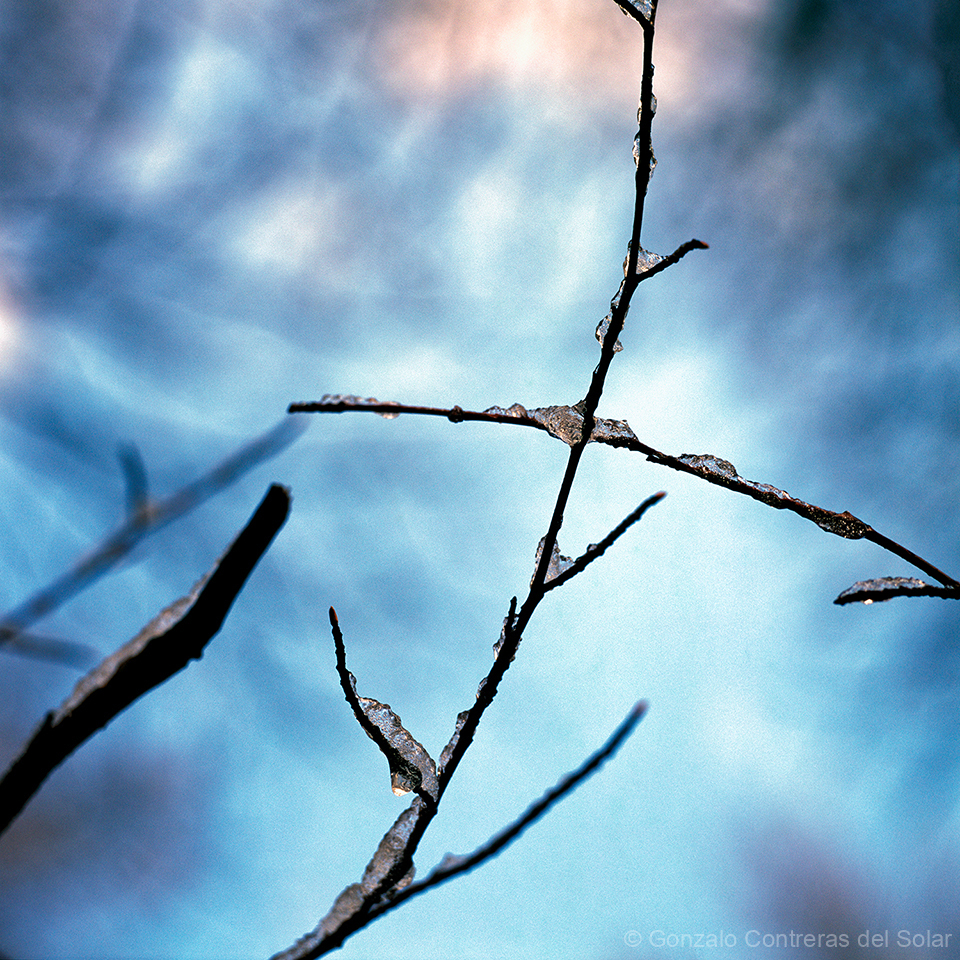 0712-17_4 - Whispers of Ice