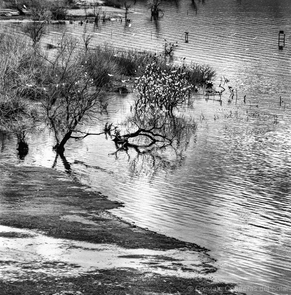 0370-12_2 - Whispers Beneath the Surface