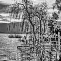 0339-16_B_2 - Submerged Echoes