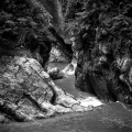 0443-12_2