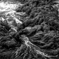 0708-07_2