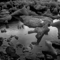 1028-08_2_B