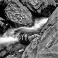 Co0084-17_B_2