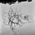 Co0844-18_B