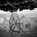 Lr0844-14_B