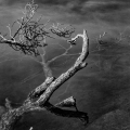 Lr0845-11_B_2