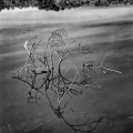 Lr0845-16_B