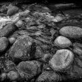LrD114-0836_B