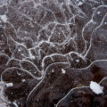 LrD002-0041