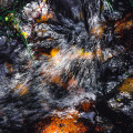 0910-07_2