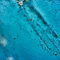 CoD098-5655_2