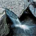 Co0025-02_2