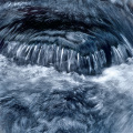 Co0051-07