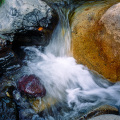 Co0255-17