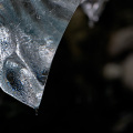 CoD098-5705