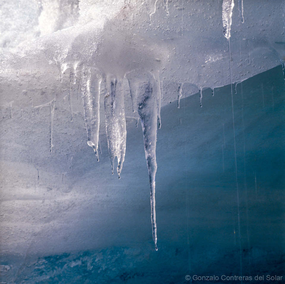 0177-14 - Translucent Veins