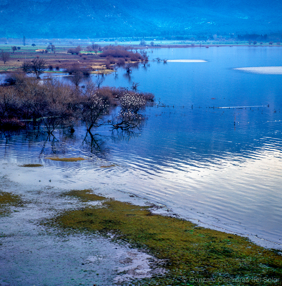 0335-12_2 - Whispers Beneath the Surface