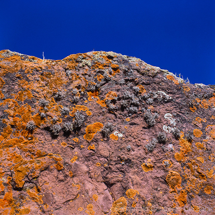 Co0016-04
