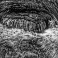 0051-07_B_2