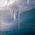 0177-14 - Translucent Veins