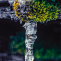 0180-11_3