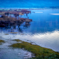 0335-12_2 - Whispers Beneath the Surface