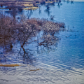 0335-15_2 - Whispers Beneath the Surface