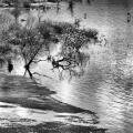 0370-12_2 - Whispers Beneath the Surface