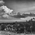 0535-09_2