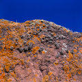 Co0016-04