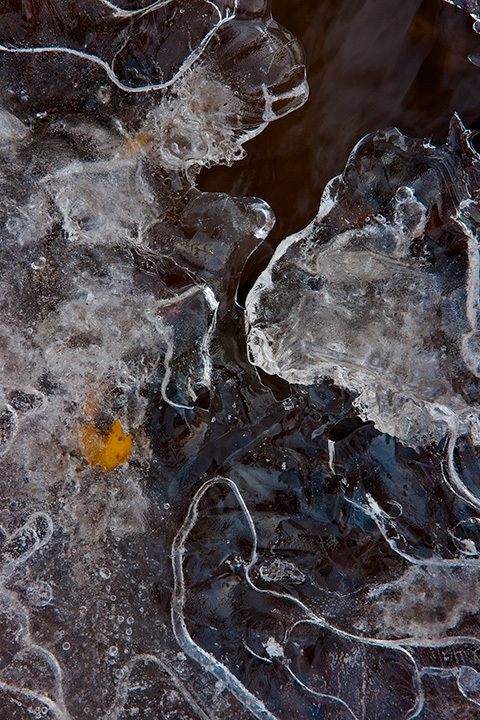 LrD002-0064