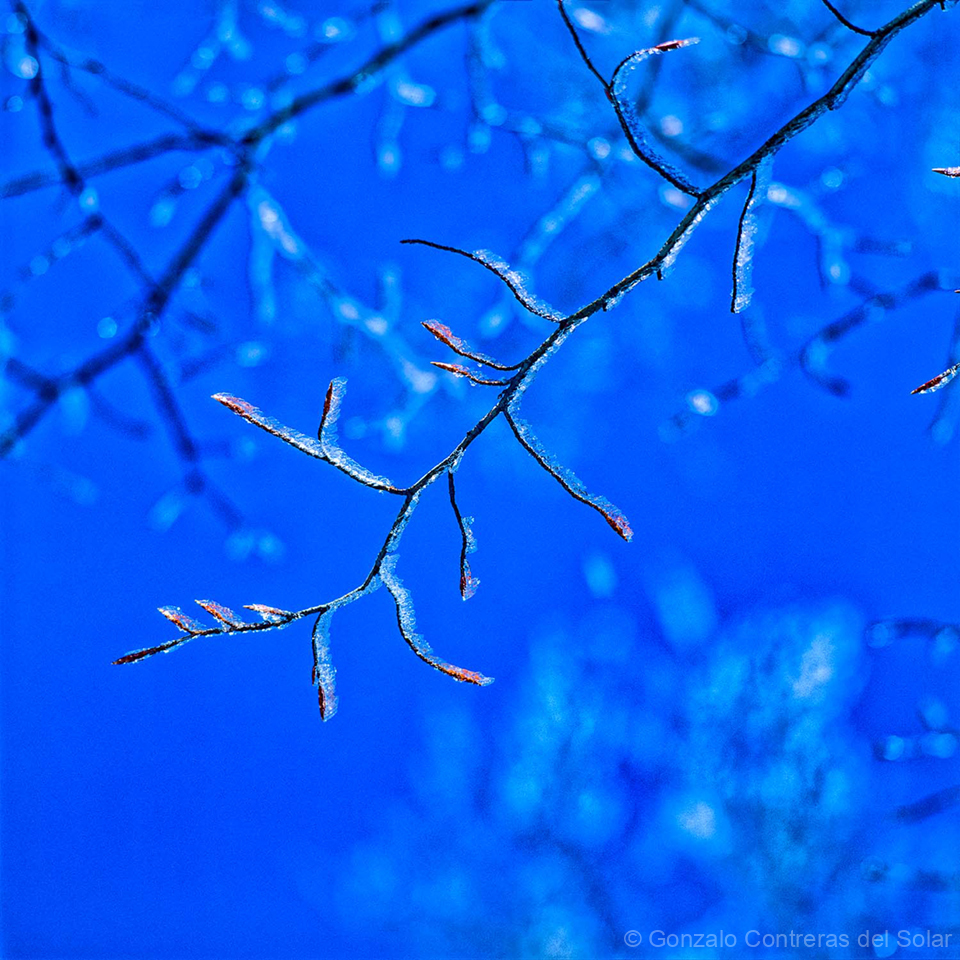 0716-15_3 - Whispers of Ice