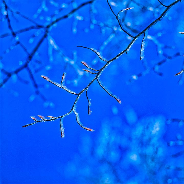 0716-15_3