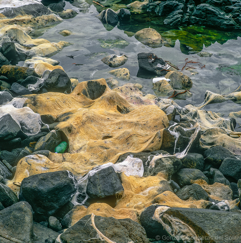 0913-02_2 - Fibers of Time