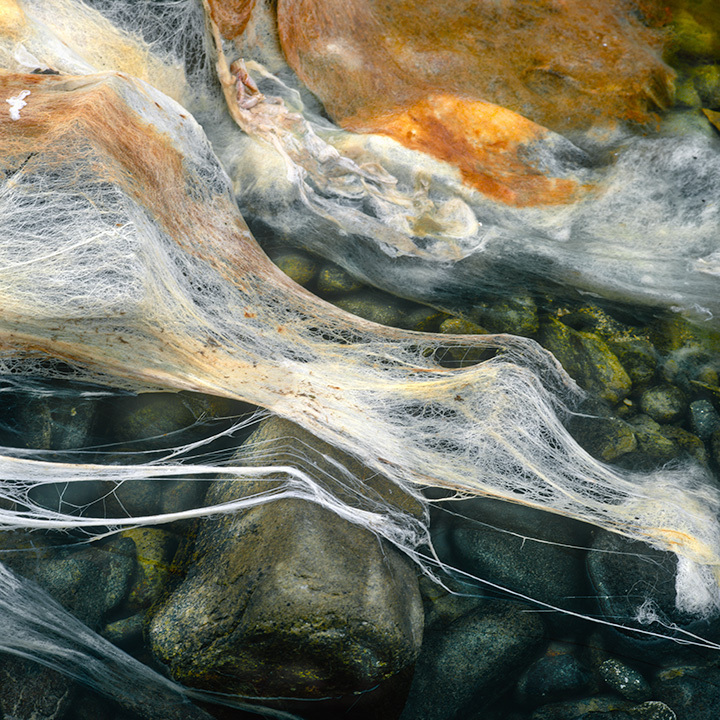 0917-17 - Fibers of Time