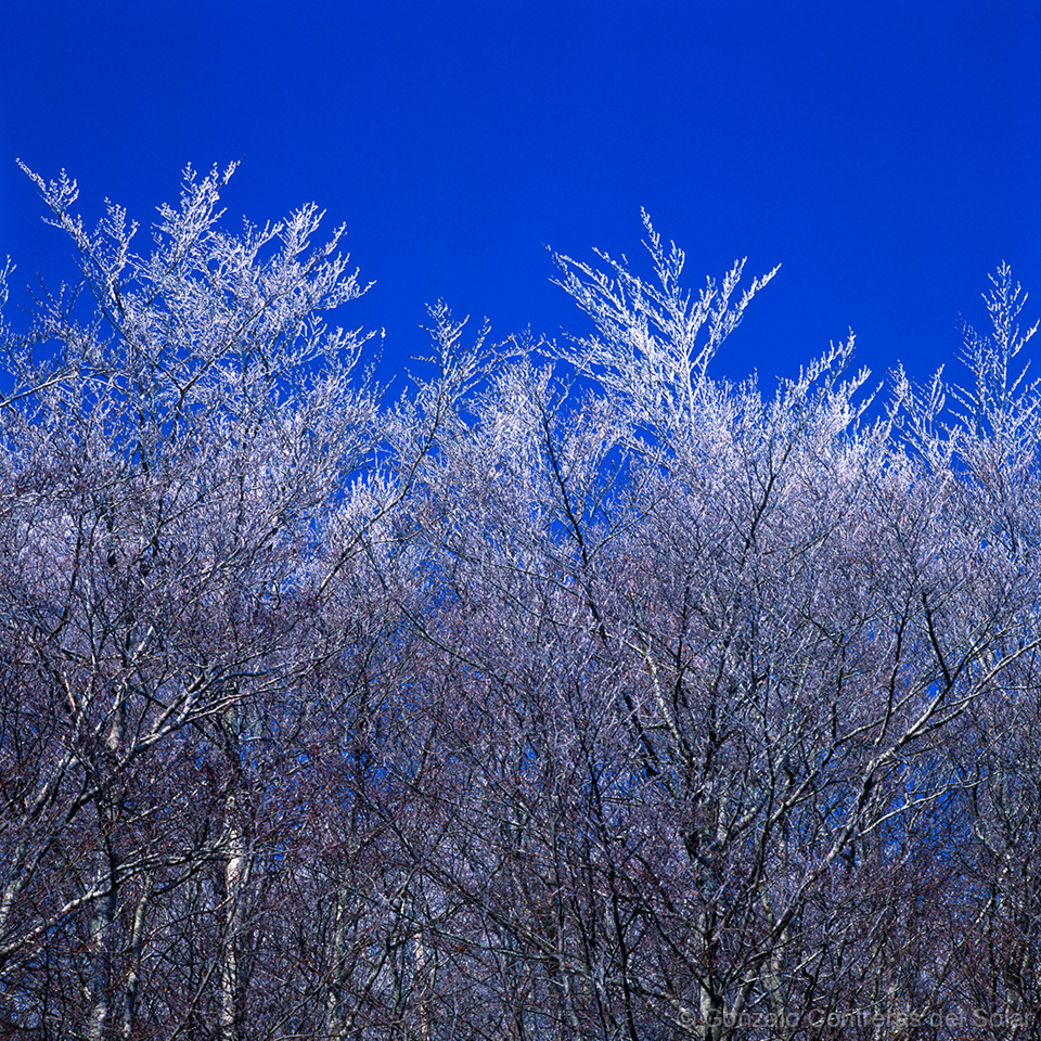Co0715-03 - Montseny Awakens