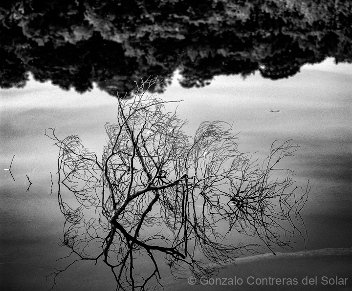 LrD0844-14_B