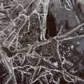 LrD002-0047