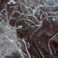 LrD002-0053
