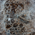 LrD002-0057