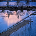0653-12_2