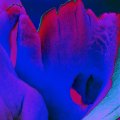 0677-19_s1
