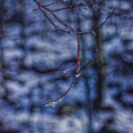 0712-08_2 - Drop Silence