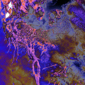 0724-11_s1