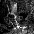 0809-17_B