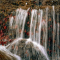 0888-02