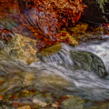 0889-03 - Conversations of Seasons