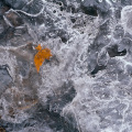 0894-15