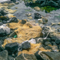 0913-02_2 - Fibers of Time