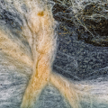 0916-10_5 - Fibers of Time